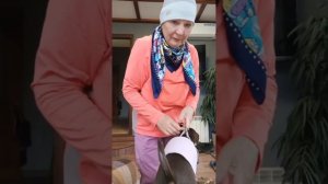 Утро начинается с прогулки