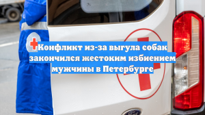 Конфликт из-за выгула собак закончился жестоким избиением мужчины в Петербурге
