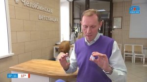 24.09.25 Наше утро на ОТВ: Вакцинация от бешенства