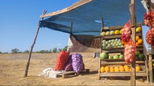 Летнее автопутешествие 2025