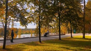 Золотая осень в Сибири