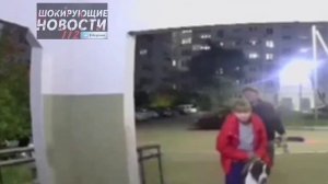 Бойцовая собака разорвала руку подростку в Омске.
14-летняя девочка стояла возле дома со своим шпи