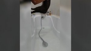 Наш TG https://t.me/liveofcats