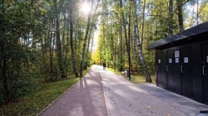 autumn park run