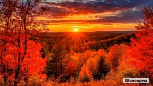 🍁Цветущие краски осени: вдохновляемся яркими красками бабьего лет