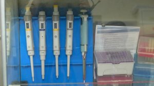 Молодые учёные из Приамурья выиграли грант на создание инновационного спейсера для дыхания