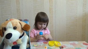 Пес Дружок и сюрпризы: мои любимцы.
