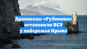 Дроноводы «Рубикона» остановили ВСУ у побережья Крыма