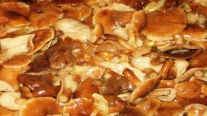 Маринованные опята в сметане