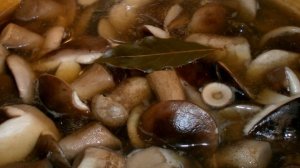 Маринованные подберезовики на зиму