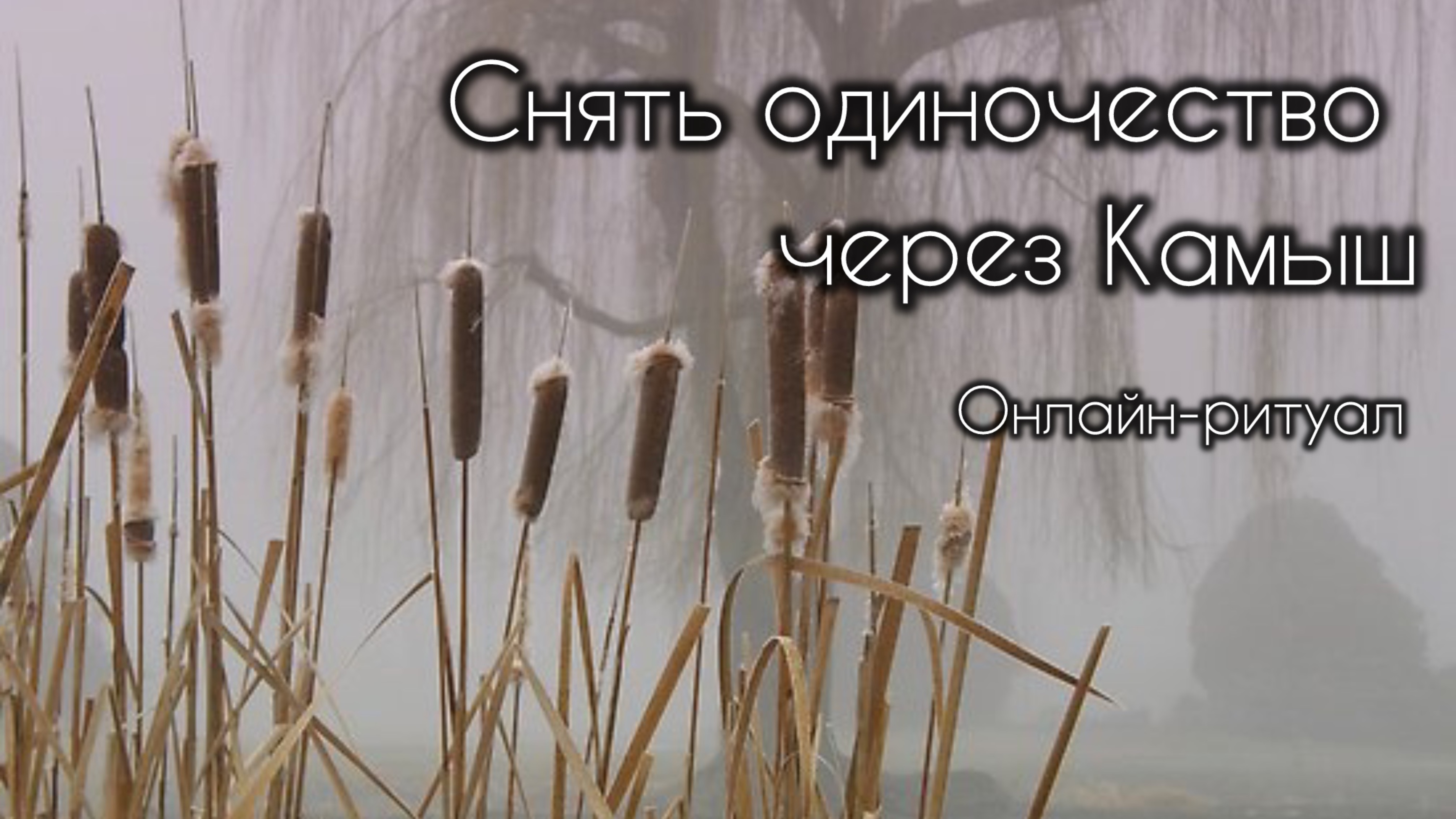Онлайн-Ритуал. Снять одиночество через камыш.
