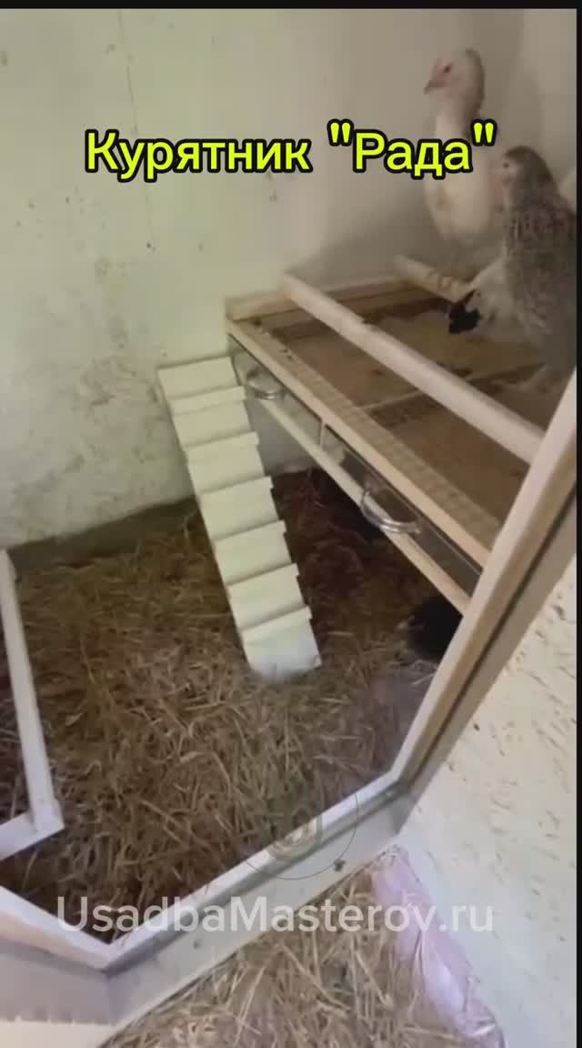 Отзыв о курятнике 