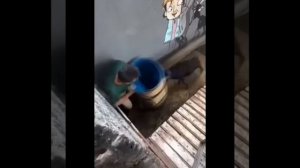 Видео от МЯУтаверс – как метавселенная, но с котами