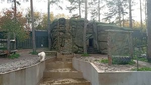 1000005551.mp4 зоопарк Новосибирский