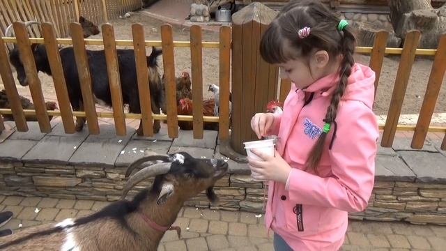 Ленинградский зоопарк. Детский зоопарк