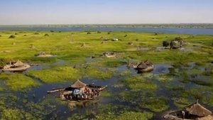 Они живут посреди самого большого болота Африки. Нилоты на болоте Судд