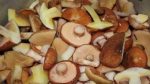 Маринованные маслята в масле