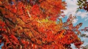 25 сентября - Артамон Змеевик. Традиции и народные приметы