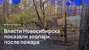 Власти Новосибирска показали зоопарк после пожара