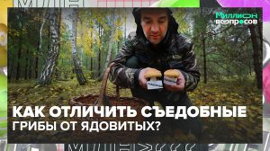 Как отличить съедобный гриб от ядовитого? | Миллион вопросов — Москва 24