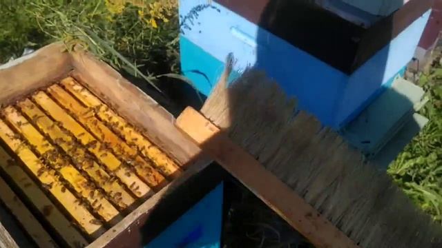 Последняя качка 13_09_25