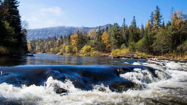 Реки: водные артерии