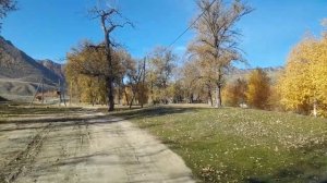 Учкель день 8