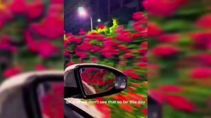 Типа цыганская песня) 🕊🥀лети свети мая звезда) мило ❤тири лично дума тут и!