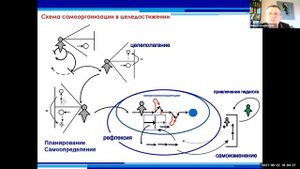 Верхоглазенко В.Н. Самоорганизация управленца. Уровни