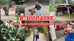 VLOG🇩🇪: ЧТО ПОКАЗАЛИ АНАЛИЗЫ? В ЗООПАРКЕ ZOO OSNABRÜCK/ ЧТО ПРИГОТОВИТЬ ЗА ПАРУ МИНУТ?!🤤