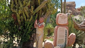 Вьетнам Нячанг.Остров Винперл. ...мы это сделали...