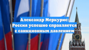 Александр Меркурис: Россия успешно справляется с санкционным давлением