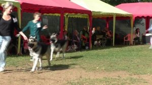 Класс открытый 1 группа