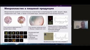 IV Международной научной конференции «Новые материалы и технологии для устойчивого развития» 1 24.09