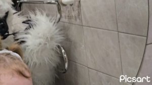 Даша и Гарри просыпаются