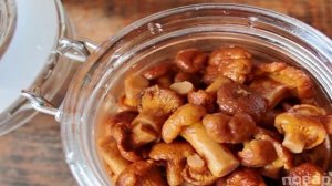 Маринованные лисички