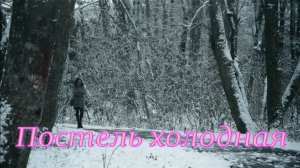 Постель холодная. Стихи и генерация звука в ИИ - Е.Васюнина, монтаж - Е.Доставалов