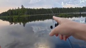 РЫБАЛКА В КАРЕЛИИ В АВГУСТЕ. ЩУКИ, ОКУНИ, ДОЖДЬ И КРАСОТА ВОКРУГ. ЧАСТЬ 1
