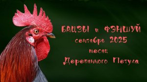 Прогноз по БАЦЗЫ и рекомендации ФЭНШУЙ в месяц Деревянного Петуха