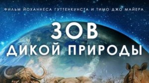 Зов Дикой Природы|трейлер