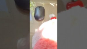 вот и новое видео про мою уточку Лилю😋