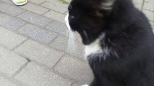 ПРОСТО КРАСАВЧИК!