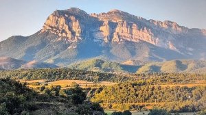 771.Радиоэмма. Искусство спокойной силы.