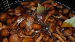 Маринованные опята в мультиварке