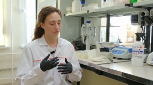 Выпуск новостей 23.09.2025