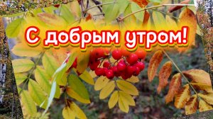 ДОБРОЕ УТРО! Красивая песня С ДОБРЫМ УТРОМ!