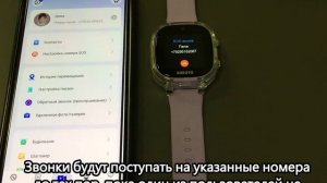 Aimoto Crystal лиловый 2