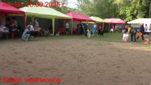 Класс чемпионов