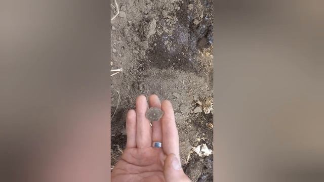 Поиск в Приморском Крае . Древние находки.