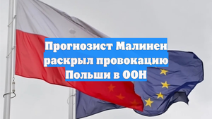 Прогнозист Малинен раскрыл провокацию Польши в ООН